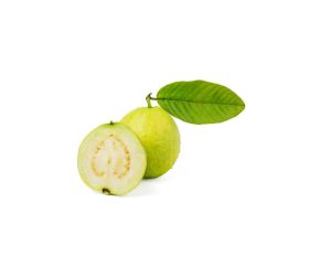 Bio Guaven Blatt Extrakt-Pulver